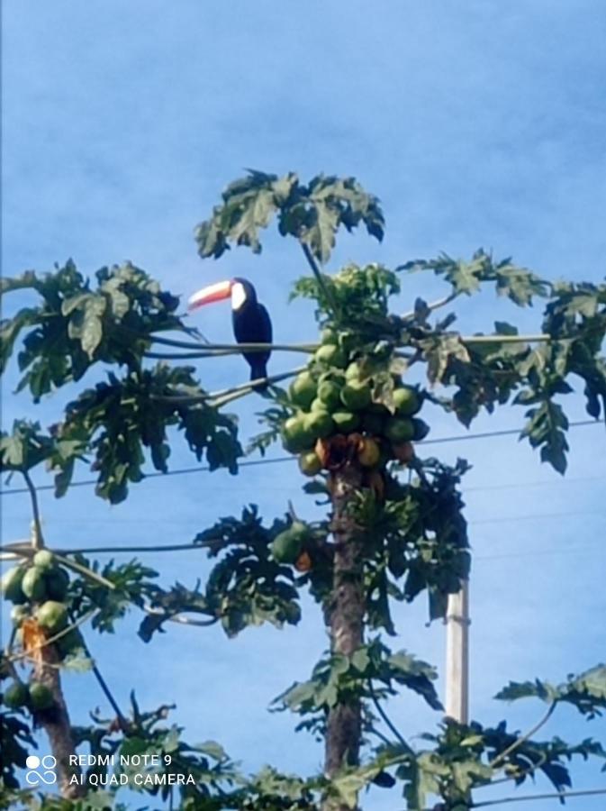 Chacara Recanto Das Pedras Para 8 Pessoas Serra Negra  Kültér fotó